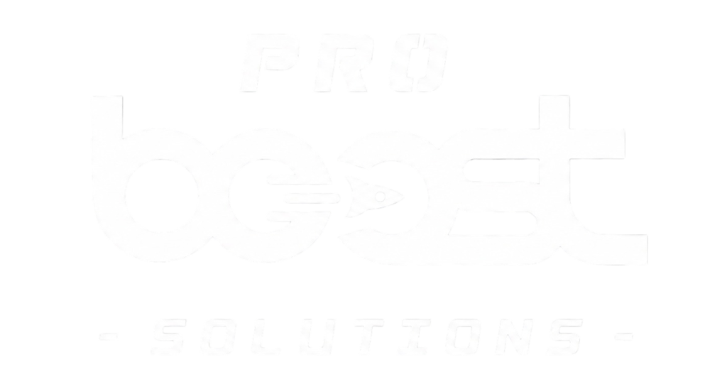 Pro Boost Solutions